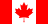 flag icon